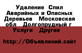Удаление, Спил Аварийных и Опасных Деревьев - Московская обл., Долгопрудный г. Услуги » Другие   